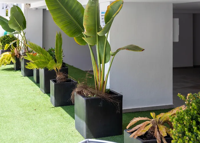 Appartamento Carihuela